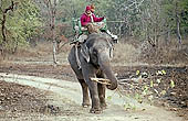 Panna National Park, Chattarpur, Madhya Pradesh